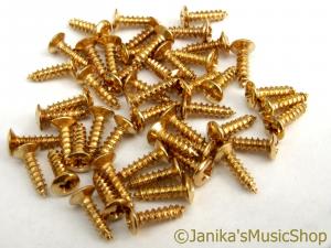 50 LES PAUL PICKGUARD SCREWS GOLD